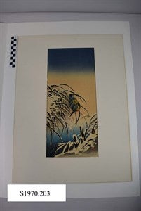 Image description is not available for S1970.203